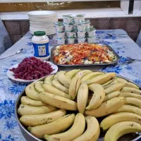 کاروان نور الهدی|تور و چارتر|دزفول, |دیوار