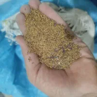 بذر یونجه|گل و گیاه طبیعی|بشاریات, |دیوار