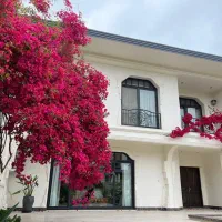 ۸۵۰ متر خانه قدیمی جمسی