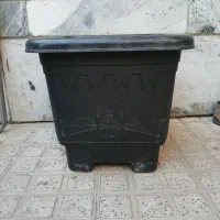 گلدان باغی گلپونه