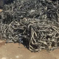 خرید ضایعات نوار تیپ قطری کشاورزی به صورت نقدی