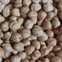 نخودزردوسفید