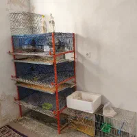 فروش قفس پرنده