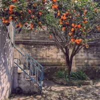 تهاتر مغازه با خودرو و آپارتمان .