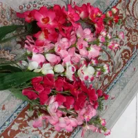 ۷شاخه گل بلند ارکیده و داوودی|گل مصنوعی|تهران, فلاح|دیوار