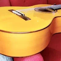 گیتار الحمبرا 7FC فلامنکوسنتی‌کولی‌های اسپانیایی