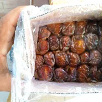 خرما برحی