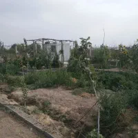 باغچه معاوضه با خودرو