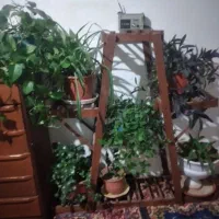 پایه گل به همراه ۴تاگل