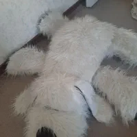 عروسک بزرگ سگ