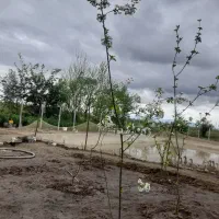 آگهی استخدام نگهبان وکارگر برای استخرماهی