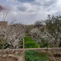 باغ-هفت-باغ
