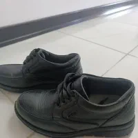 کفش|کیف، کفش، کمربند|اصفهان, زاجان|دیوار