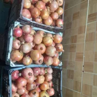 انار میبد|خوردنی و آشامیدنی|یزد, |دیوار