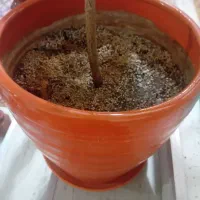 گلدان و گل