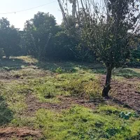 ۲۱۰ متر زمین بر خیابان اصلی|فروش زمین و ملک کلنگی|زرگرشهر, |دیوار