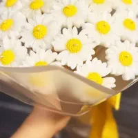 دسته گل|گل مصنوعی|مریوان, |دیوار