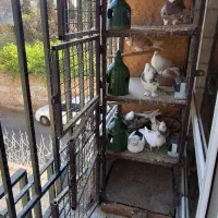 جفت کنی پنج طبقه کفتر