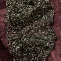 شونیر مزونی نو مجلسی|لباس|تهران, تجریش|دیوار