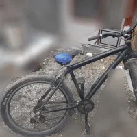 دوچرخه ۲۶ ویوا اصل