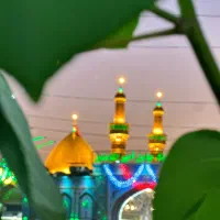 کاروان زیارتی کربلا|تور و چارتر|شیراز, کوشک میدان|دیوار