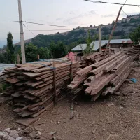 چوب ساختمانی جنگلی|مصالح و تجهیزات ساختمان|بره‌سر, |دیوار