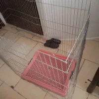 قفس حیوان خانگی سینی دستشویی سالم