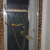 قفس پرنده