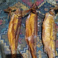 ماهی دودی سفید و شورسفید و دودی فیوفاک