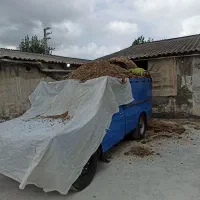 کود مرغی نیسانی و کامیونی