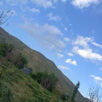 علف زنی بیل زنی باغچه باغ ویلا...