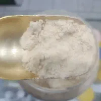 پودر پیاز عالی بدون افزودنی