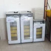 نمایندگی فروش دستگاه جوجه کشی هدایت|لوازم جانبی حیوانات|فردوس (خراسان), |دیوار