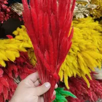 پخش گل خشک طبیعی|گل و گیاه طبیعی|تهران, ابوذر|دیوار