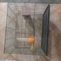 قفس پرنده