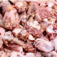 اسکلت مرغ برای حیوانات