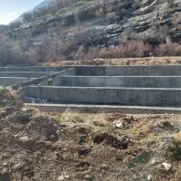 اجاره طرح پرورش ماهی