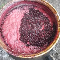 رب الوچه ملس وترش|خوردنی و آشامیدنی|رشت, باهنر|دیوار