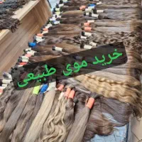 خریدار اصلی مو مرکز خرید مو