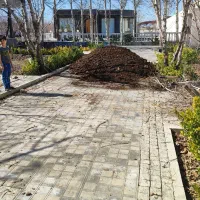 کود گاوی|خدمات باغبانی و درختکاری|چناران, |دیوار