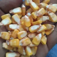 فروش سویا و ذرت