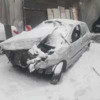 ۲۰۶ تیپ ۲ مدل ۸۲|خودرو سواری و وانت|تهران, مرادآباد|دیوار