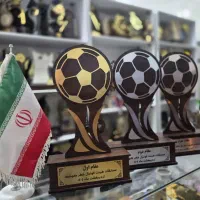 تندیس جام قهرمانی