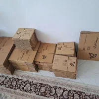 کارتن پستی