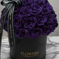 گل رز جاودان