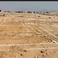 زمین ۴ فرزندی سند دار