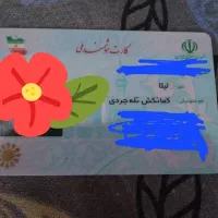 کارت ملی گمشده به نام لیلا کمانکش
