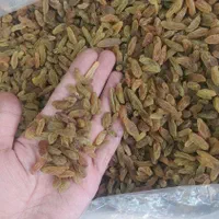 انواع کشمش خوراکی و آبگیری جلال|عمده‌فروشی|مشهد, پایین خیابان|دیوار