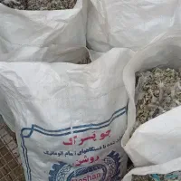 کود کفتر|خدمات باغبانی و درختکاری|مشکین‌دشت, |دیوار