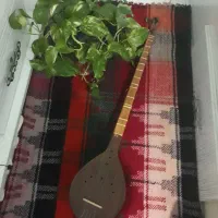 ساز ستار|سازهای سنتی|ایلام, |دیوار